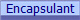 Encapsulant